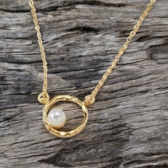 Anthropologie Jewelry - ANTHROPOLOGIE SIMPLICITY NECKLACE